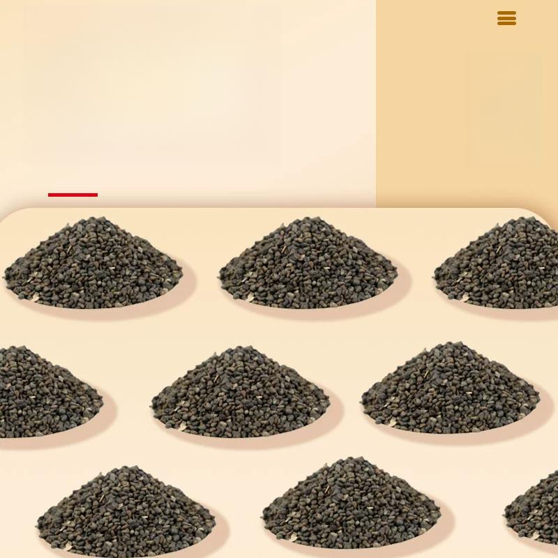 Premium Abutilla Seeds - 50g