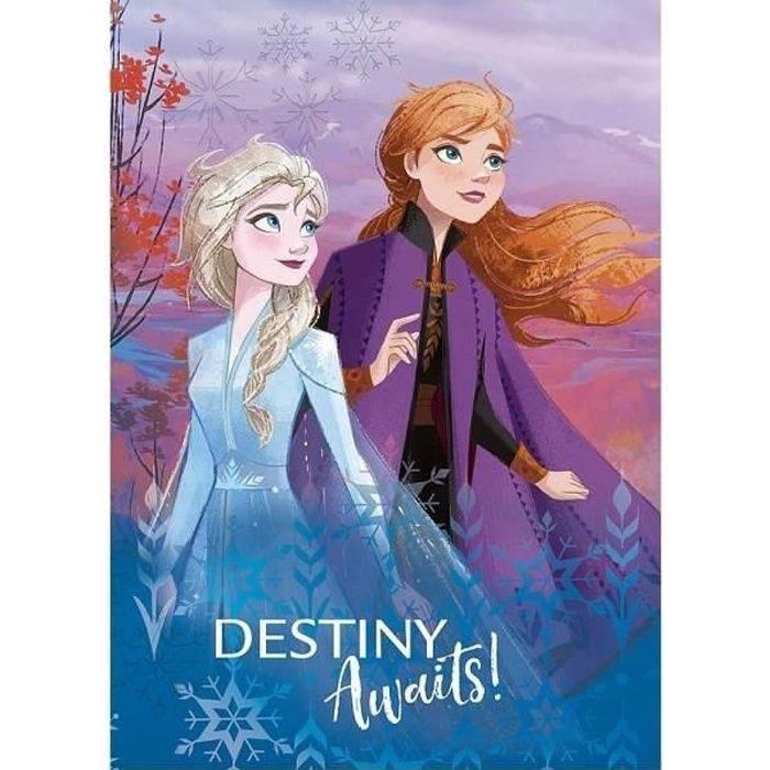 Reine des neiges 2-frozen-plaid-couverture polaire destiny awaits 100x140 cm.