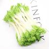 20Pcs Waterdrop Artificial Pistil 8CM 1mm Simulation Flower Stamen Plastic Handcraft Flower Core DIY Flower Stamen Craft Making
