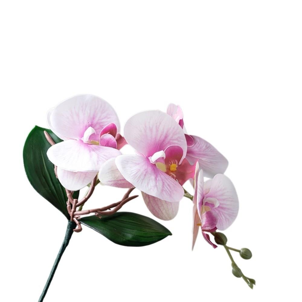 Realistic Artificial Moth Orchids Vivid Fake Butterfly Orchid Simulation Phalaenopsis  Bedroom