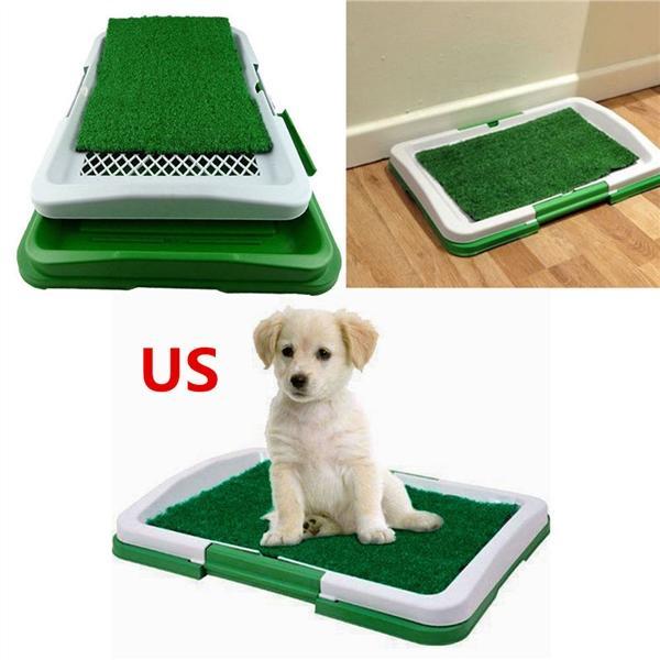 dog litter pad