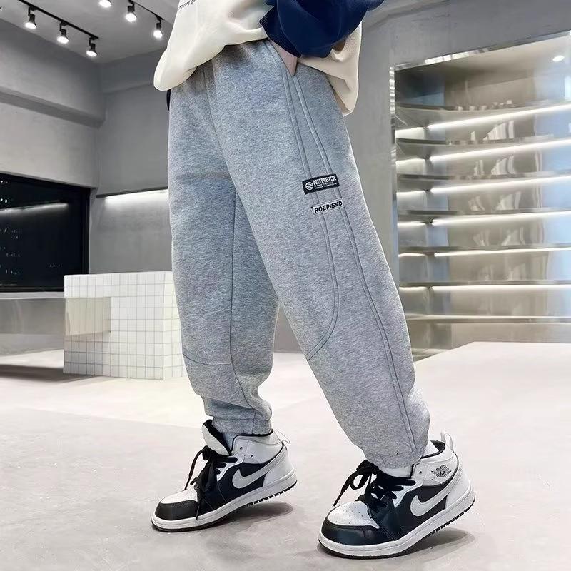 Boys' Fleece-Lined Sweatpants: Autumn/Winter Casual Loose Fit Sports Pants