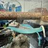 Reptile Suspension Nest Simulated Plants Evade Climbing Tree Frog Crested Gecko Climb Terrarium Accessories Reptiles Accessories
