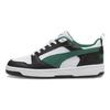Rebound V6 Unisex Low Skate Shoes White Black Green 392328-23