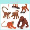 Modèle de Singe Miniature Réaliste en PVC Figurine de Collection Parfaite Pour Collectionneurs Décoration Intérieure