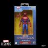 Hasbro Marvel Legends Series No Way Home The Amazing Collectible Action Figure G2054 Authentic Spider-Man Spider-Man 6-Inch