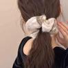 South Korea Autumn and Winter Large Intestine Hair Band Women's Gentle Headband 2025 New High-end Rubber Band Hair Rope Hair Accessories