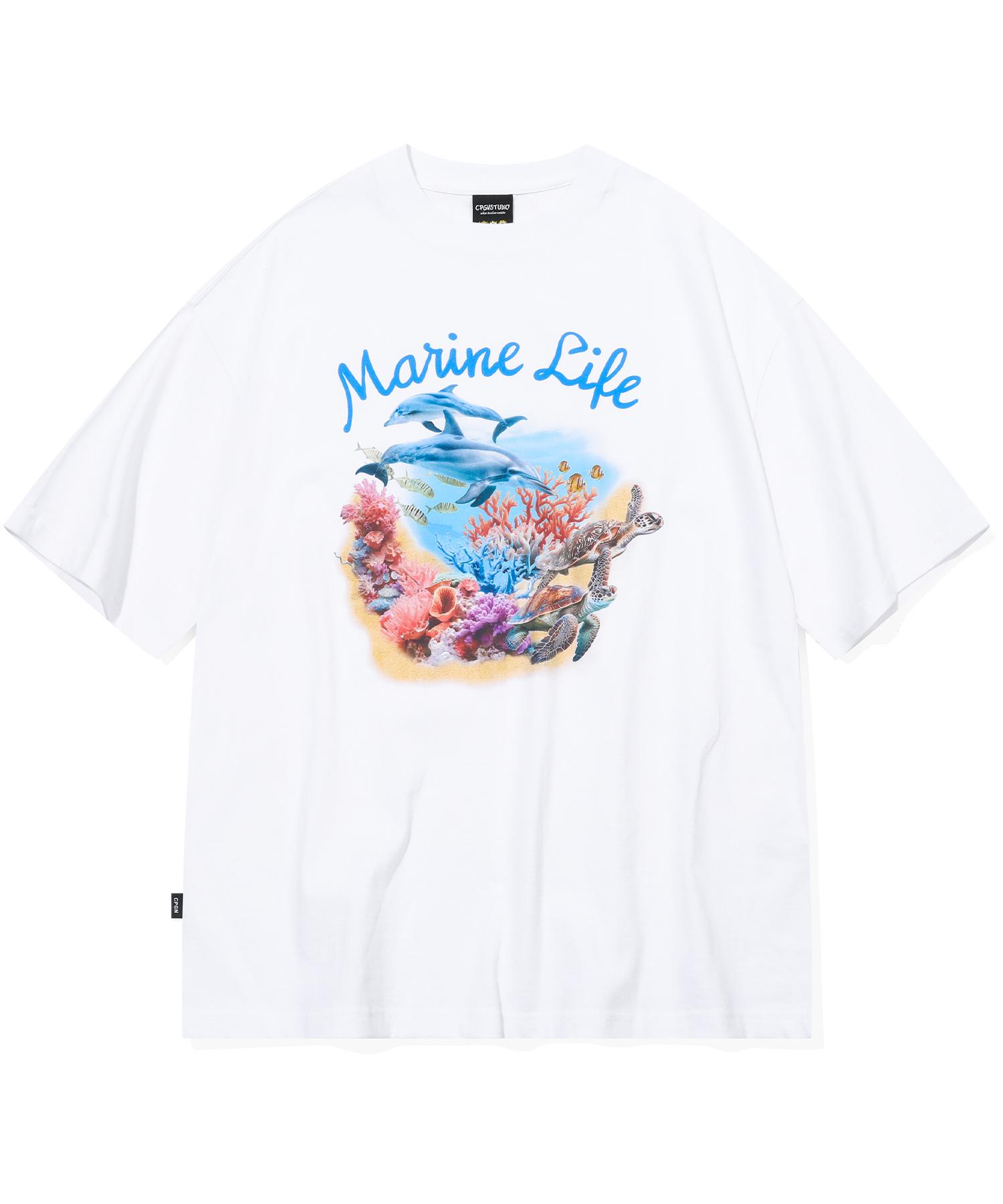 Compagno Dtp Marine Dolphin Short Sleeve T-Shirt White White/M