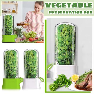 Herb And Vegetable Fresh-keeping Box, -crushing Environmentally Friendly Fresh-keeping Device, Creative Coriander Fresh-keeping Cup