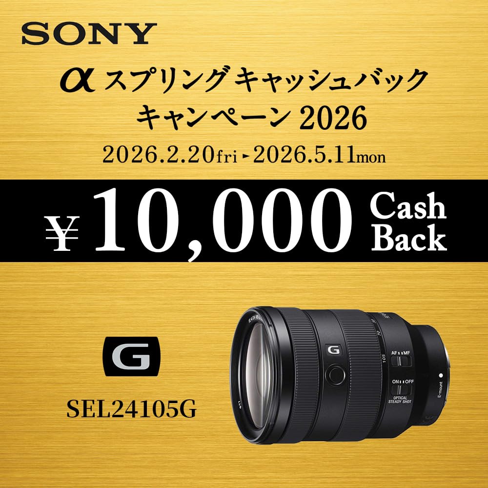 SONY FE F4 G OSS Standard Zoom Lens for Digital SLR Cameras Genuine Lens SEL24105G 24-105mm Full-Frame (E-mount) -