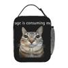 Rage Is Consuming Me Funny Cat Kitten Meme Humor Lunch Bag Casual Lunch Box Portable Insulated Thermal Lunch Bags Cooler Bag