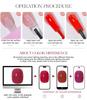 Red Dried Rose Gel Nail Polish Set 2025 - Salon Exclusive