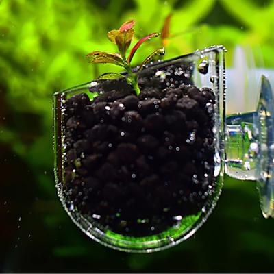 Heimtierbedarf Kreative Aquarium Aquarium Glas Pflanze Tasse Rot Wurm Fütterung Container Halter
