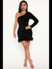 European & American Autumn/Winter Sequin Feather Dress with One-Shoulder Long Sleeve