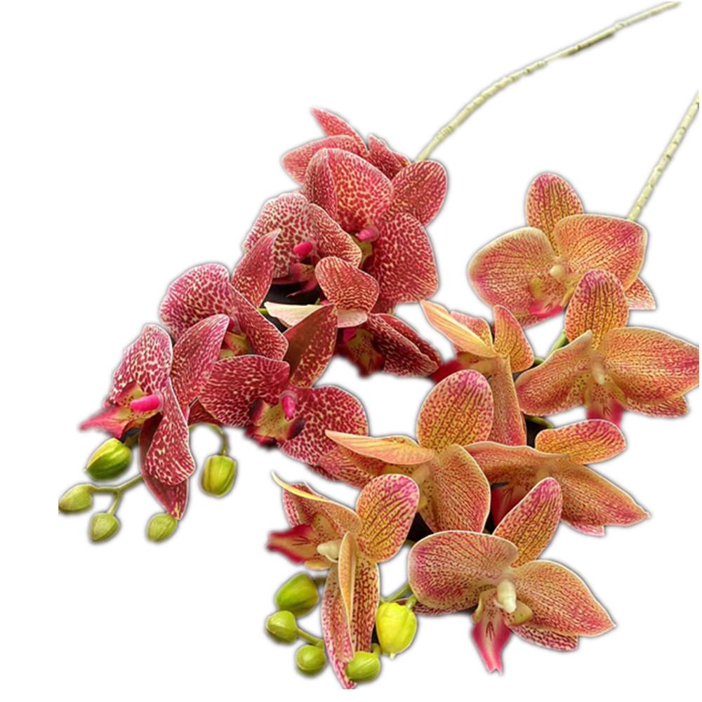 One Real Touch Butterfly Orchid Flower Branch Seven Heads Artificial Moth Phalaenopsis Orchid