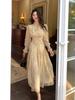Coffee break French floral chiffon dress women's long models early and early autumn new models super good-looking waist long dress