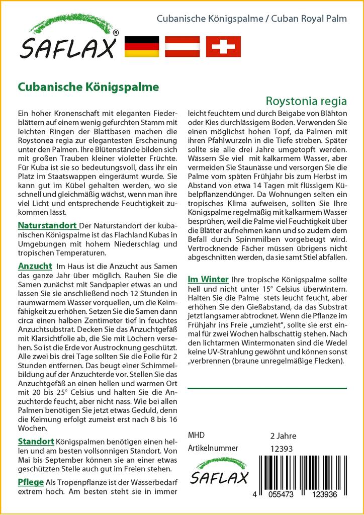 SAFLAX Cuban Royal Palm - 8 Seeds - With Potting Substrate for Better Cultivation - Roystonia Regia