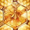 Abeille Royale Honey Treatment Rich Cream 50ml