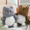Cute Big-Eyed Cat Doll Plush Toy Kitten Doll Children'S Company Soothing Rag Doll Birthday Gift