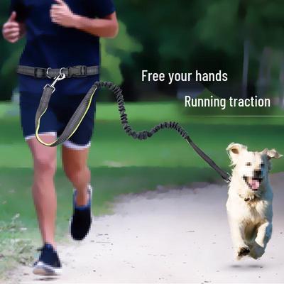 Retractable Portable Running Dog Leash