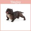 American Bully Pitbull Animal Model Pvc Figurine Collectible Display For Dog Enthusiasts