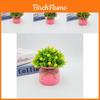 Starry Sky Artificial Flower Pot For Home Office Decor With Plastic Material And Wedding Use