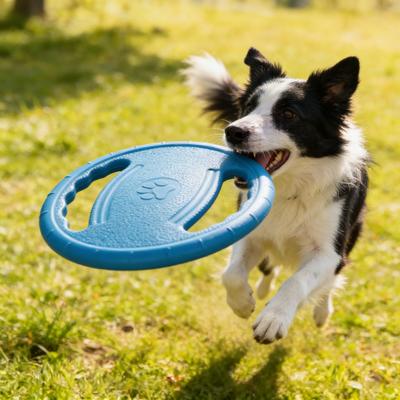 Hunde – Hundespielzeug