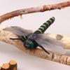 17Cm Realistic Insect Animal Model Toys Ant Spider Scorpion Beetle Dragonfly Simulation Figures For Kid Educational Learning Toy