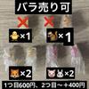 [USED] StrayKids SKZOO Sign Accessories Gachapon