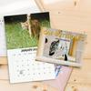 2026 Katzen Hintern Kalender 2026 Lustige Katze 12 Monats-Wandkalender Jan bis Dez High-Definition Katzenfotografie