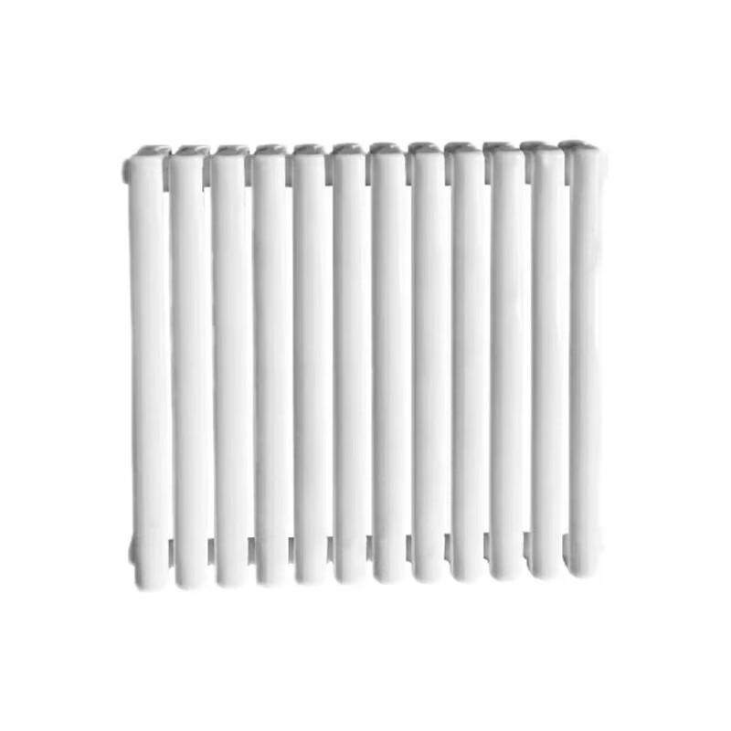 

Beyond Steel Two-Column Radiator