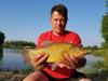 Method/feeder fluo pop-up micro boilies 8mm/20g śmierdzące masło