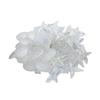 LED Colorful Seashell & Starfish Festive Lights for Indoor/Outdoor Décor