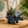 3D Printed Mini Flower Pot Desktop Decoration Plant Planting Pot Creative Dinosaur Flowerpot  Home