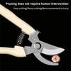 Stainless Steel Scissors Flower Cut Arrangement Pruning Fruit Tree Garden Branch Cutting Household Grafting Gardening Scissors