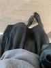 Highly Recommended! Women's Retro Woolen A-line Skirt - Autumn/Winter Korean Minimalist Pleated Slimming Mid-length Skirt
