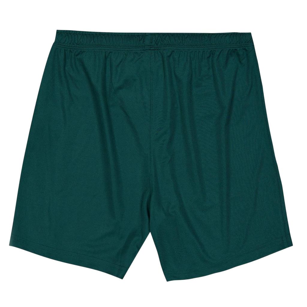 Castore Childrens/Kids Ireland Training Shorts