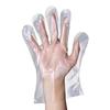 Disposable Food-Grade PE Gloves