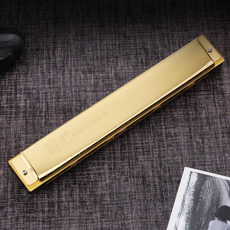 28-Hole Tremolo Professional Harmonica, 24-Hole Accent - Perfect for Adults, Beginners, and Students As an Introductory Musical Instrument