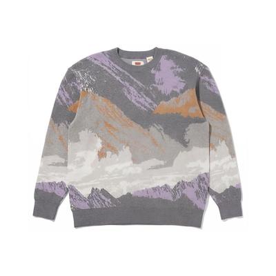 Maglione Levis FW22 Girocollo Stampato a Motivi Largo Cashmere Uomo Maglione Grigio A0731-0004