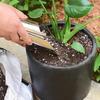 Soil Scoop For Indoor Plants 3X Stainless Steel Soil Scooper For Planting Rust-Proof Bonsai Hand Scooper Tool With Comfortable
