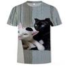 Summer Round Neck 3D Cute Cat Print Top Fashionable Casual Short Sleeved Men's T-shirts