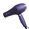 High-Power Professional Hair Dryer for Salon & Home: Strong Wind, Gentle Care