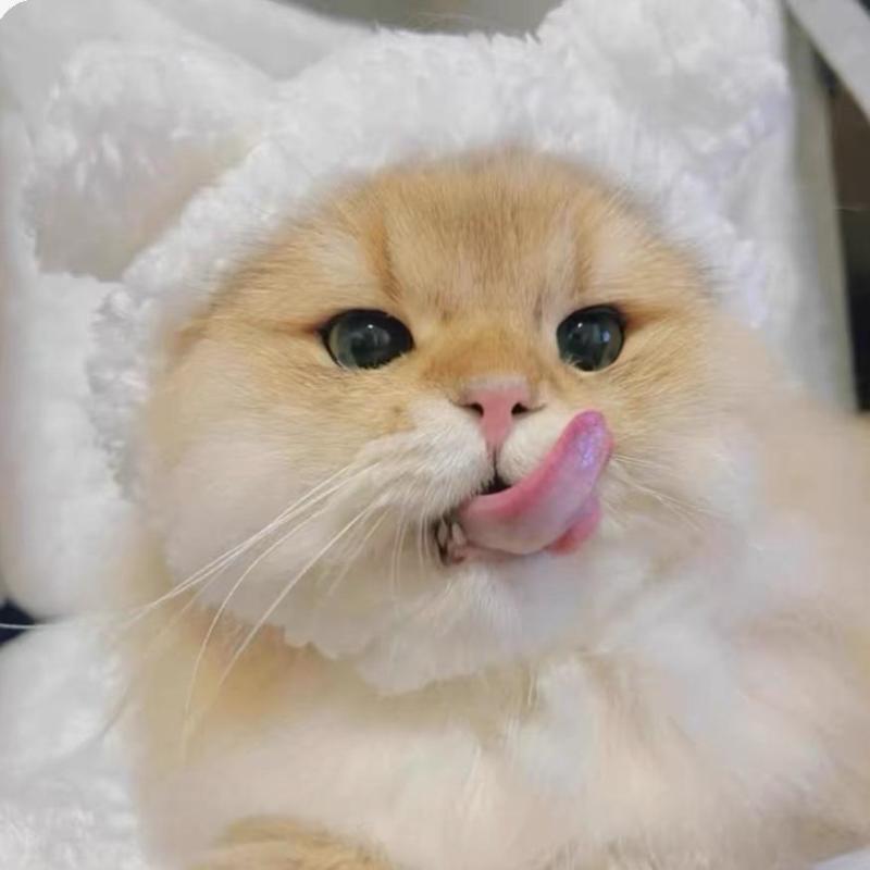 Cat Hat Plush Elastic Winter Pet Hat Puppy Kittens Knitted Hat Party Cosplay Props Decoration Cat Accessories Pet Cute Refined