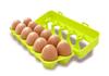Peterkin Matching Eggs Form PK0100