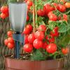 Plant Watering Device Self Watering Plant Automatic Self for Indoor Outdoor Balcony Daily Use Vacations