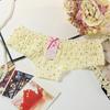 Cute Lace Low Waisted Panties with Mesh and Sexy Women's Panties