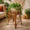 Eco Decx Handcrafted Rattan Plant Stand, Natural Bamboo Flower Pot Holder for Indoor Plants & Living Room Decor, 32 x 32 x 54 cm