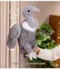 Cross-Border Eagle, Vulture, Pelican, Old Pigeon Plush Toys – Ugly Cute Bird Doll Collection