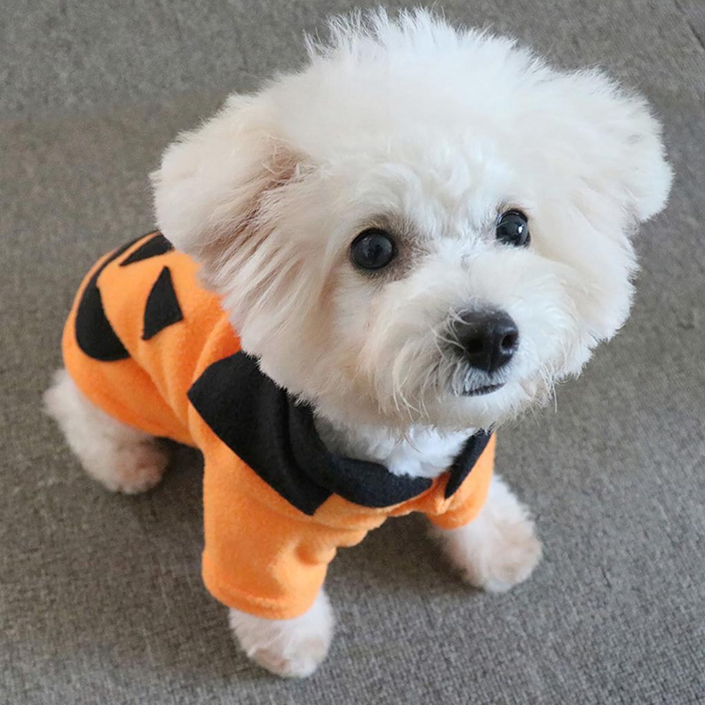 Halloween Pumpkin Dog Costume Wool Sweater For Small And Medium Dogs And Cats Pet Holiday Costumes